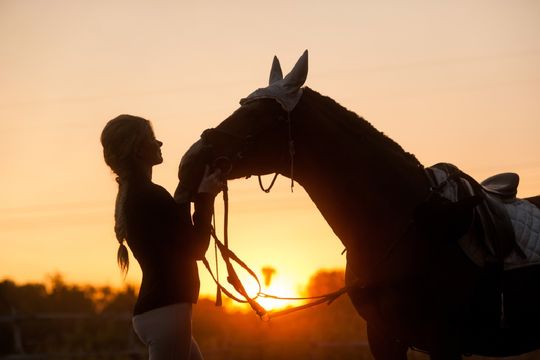 Nainen ja hevonen auringonlaskua vasten