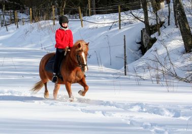 Nuori ratsastaja ratsastaa ponilla talvella